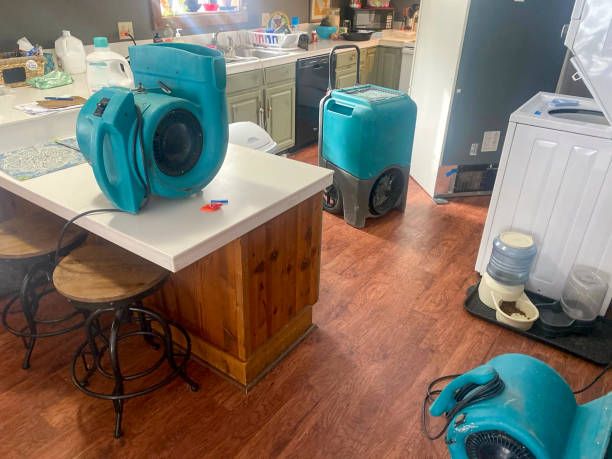 Best Local water damage restoration  in York, SC