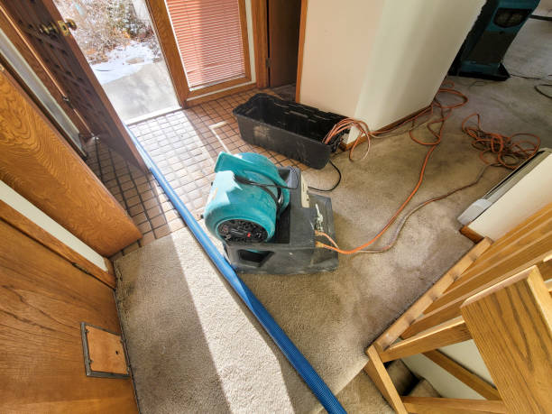 Best Flooded house restoration  in York, SC
