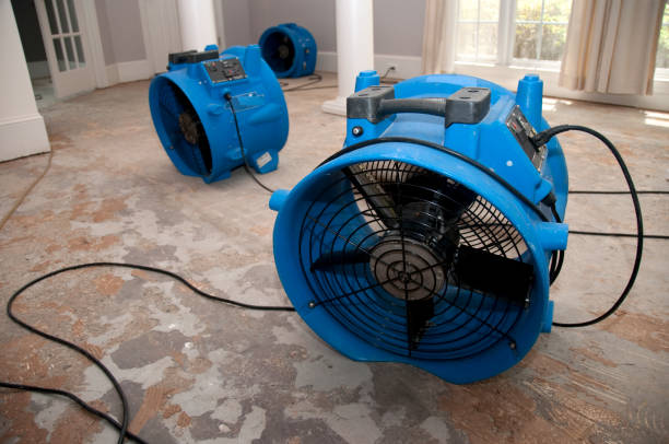 Trusted SC Water damage restoration Experts
