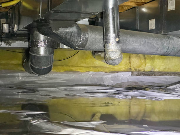 Best Water damage cleanup near me  in York, SC