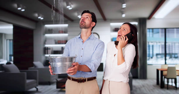 Best Water damage cleanup near me  in York, SC